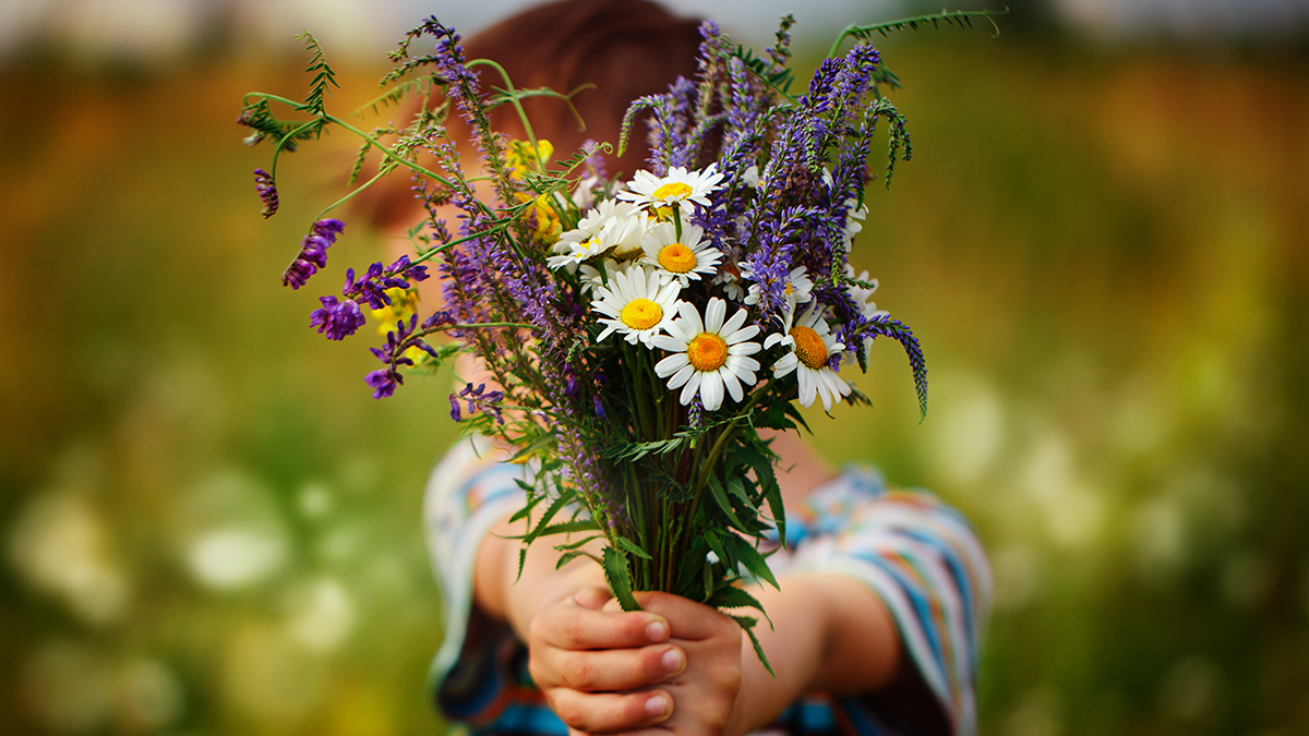 Child holding handpicked flowers