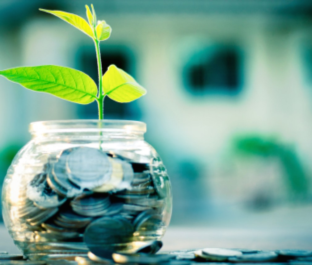 New-beginning-green-plant-bank-money