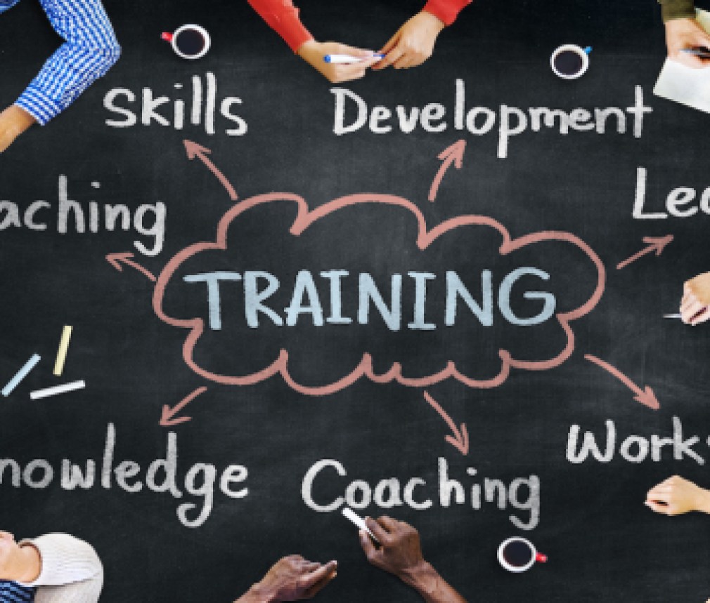 Diverse People and Training Concepts