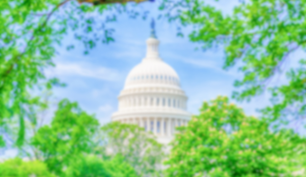 Prominent Realtor Leigh Brown is now running for Congress HousingWire