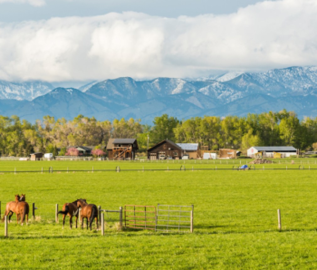 rural_housing_montana