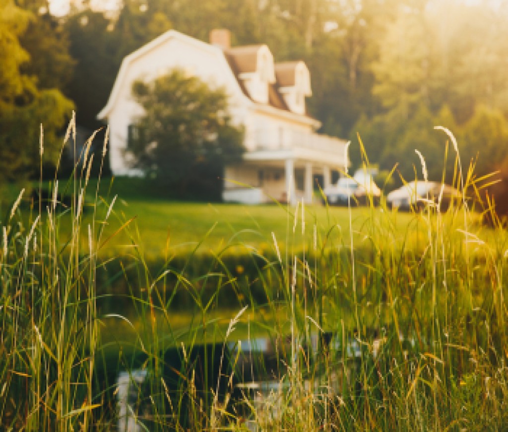 rural view, blurred background. pond and house in the distance at sunset