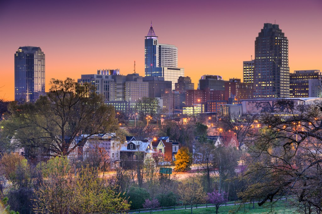 Raleigh North Carolina Skyline