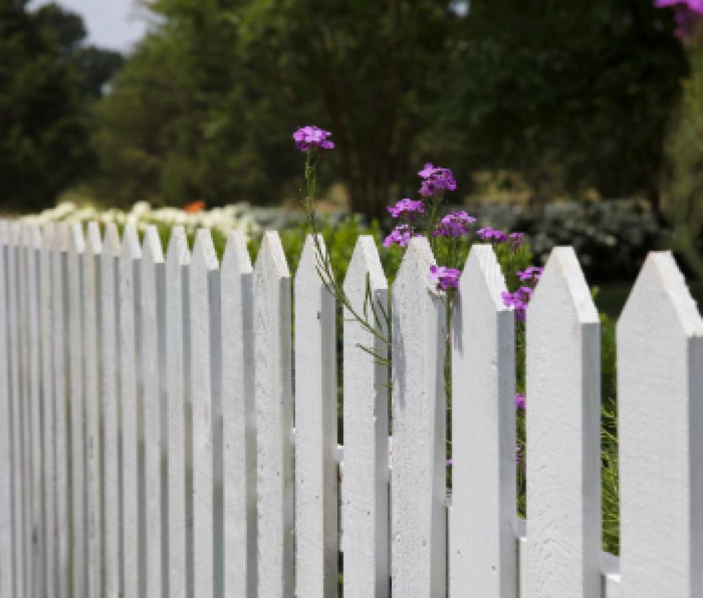 picketfence_unsplash