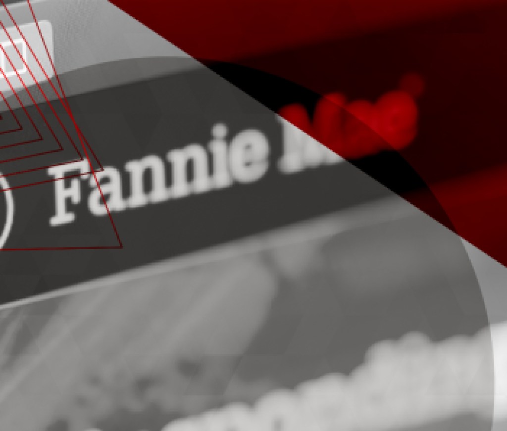 Fannie Mae, GSE - HW+