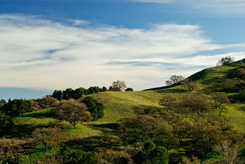 Acalanes Ridge, Lafayette, California