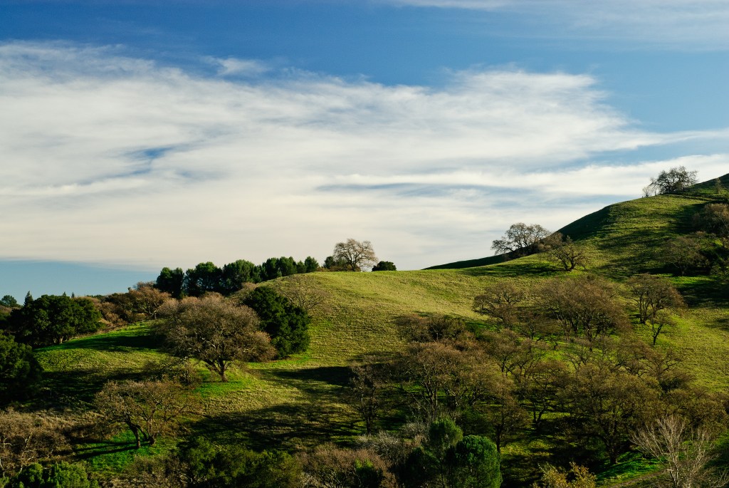 Acalanes Ridge, Lafayette, Californie