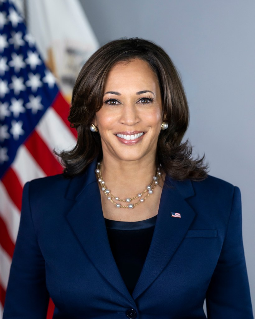 How Kamala Harris’ $25K Down Payment Assistance Plan Could Work ...