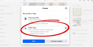 Facebook public page option